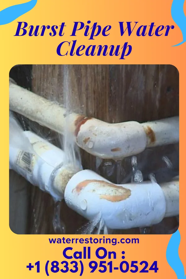 Burst Pipe Water Cleanup in Atwood, PA