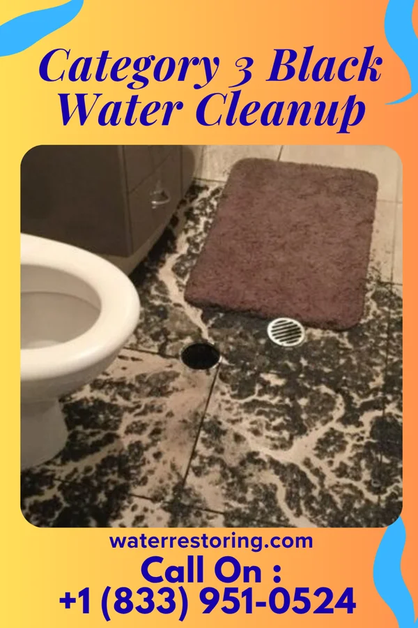 Category 3 Black Water Cleanup in Atwood, PA
