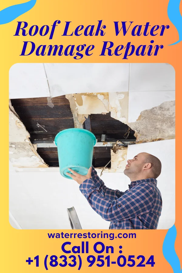 Roof Leak Water Damage Repair in Atwood, PA