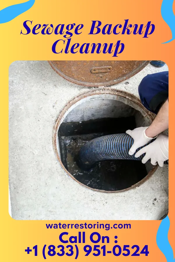 Sewage Backup Cleanup in Atwood, PA