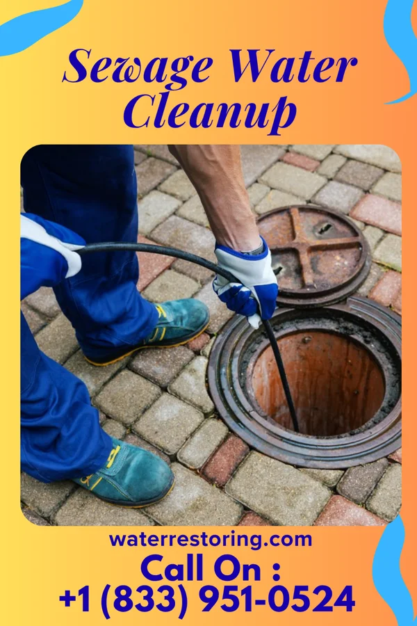 Sewage Water Cleanup in Atwood, PA