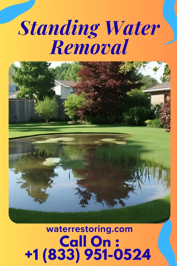 Standing Water Removal in Atwood, PA